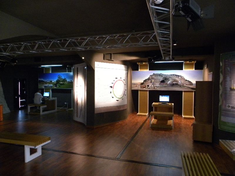 interno museo dinosauri 01